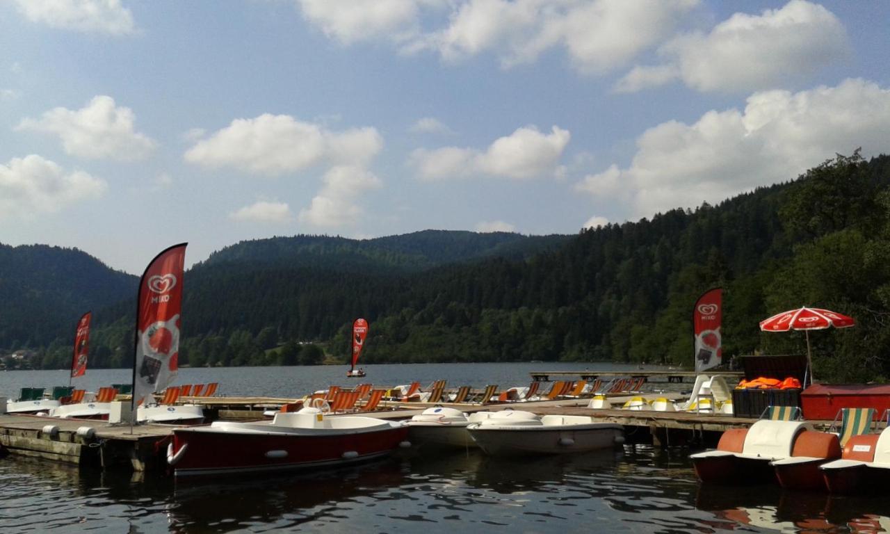 Studio Hauteur Gerardmer Exterior photo